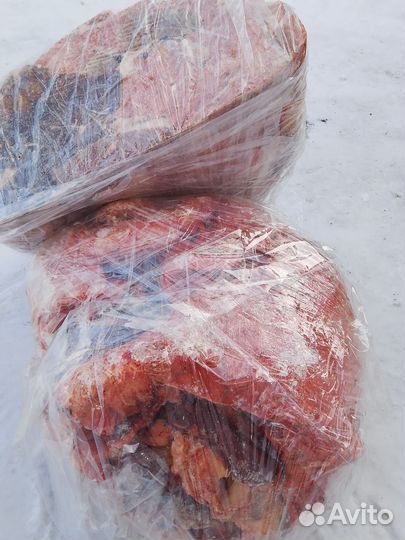 Корм для собак и кошек