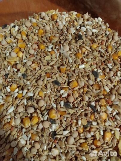 Корм для грызунов