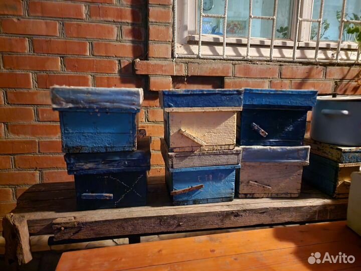 Продам ульи для пчел