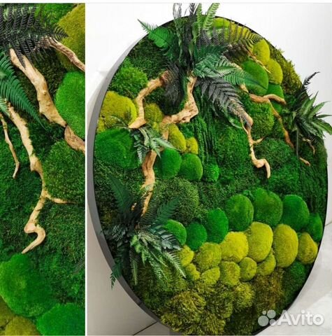 Мох стабилизированный фитокартина фитостена панно