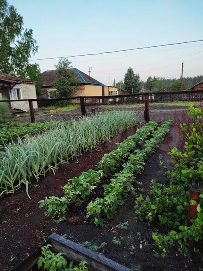 Дом 75,6 м² на участке 15,6 сот.