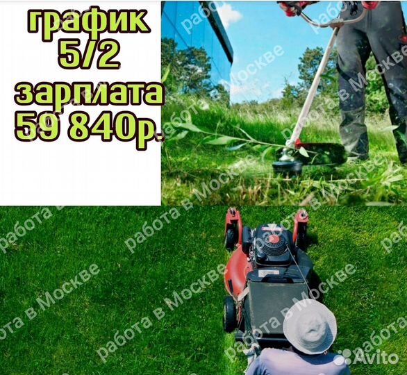 Дворник/ Покос травы/ Уборка/ работа в Москве