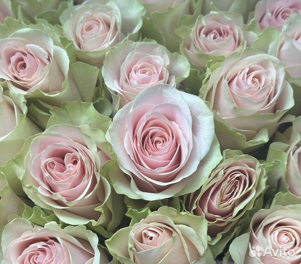 Обучение на флориста