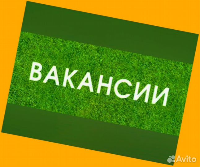 Грузчик Вахта Проживание Питание Аванс еженедельно