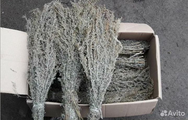 Масло для волос с еловыми побегали