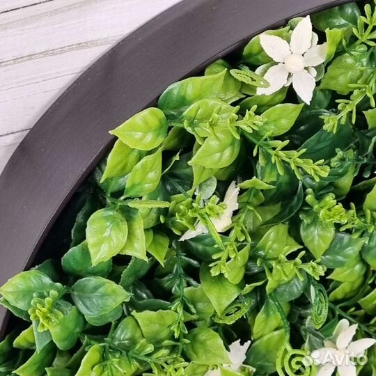 Картина, фитокартина