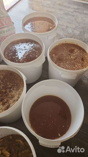 Мед цветочный разнотравье