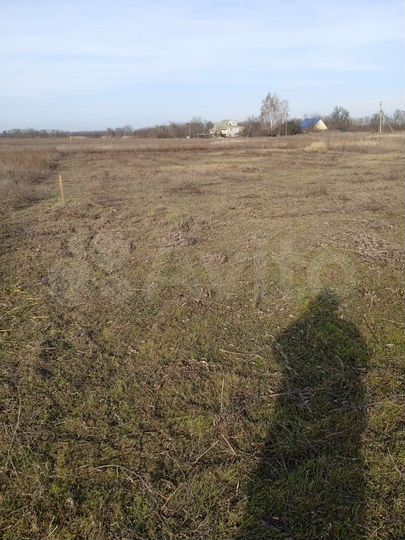 Участок 8,6 сот. (ИЖС)