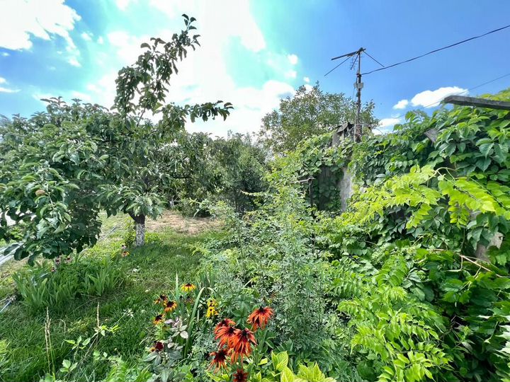 Дача 30 м² на участке 12 сот.