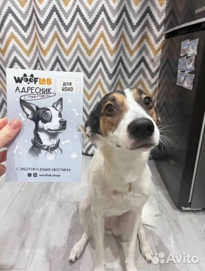 Адресники для кошек 20мм 25мм 32мм