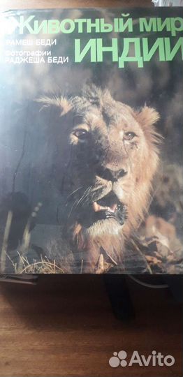 Животный мир Индии