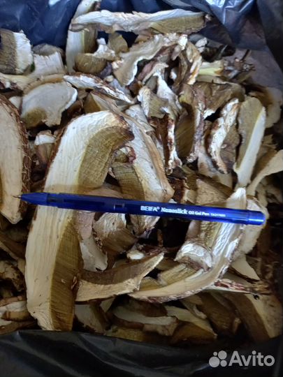 Грибы белые сушеные