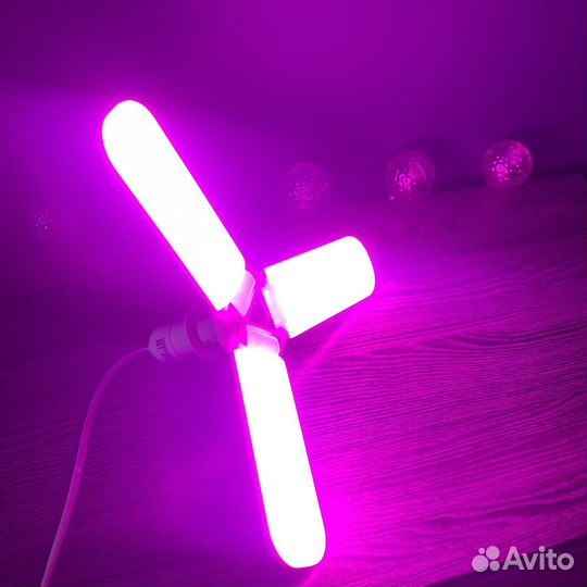 Фитолампа для растений