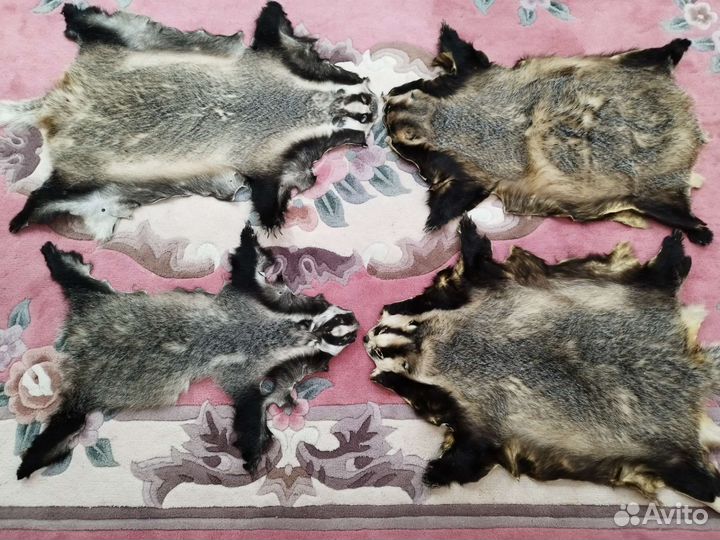 Шкурка животного