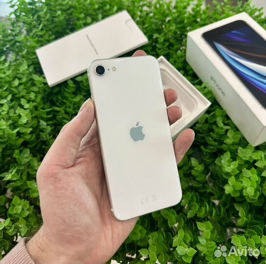 iPhone SE (2020), 64 ГБ