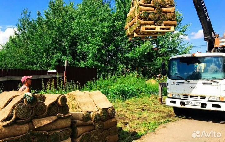 Рулонный газон с доставкой