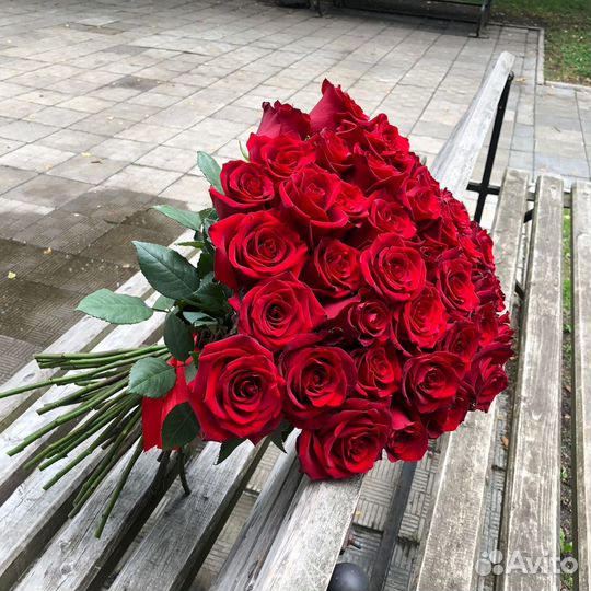 Доставка 46-10-00. 51 красная премиум роза в ленту