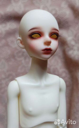 Куклы 1/6 bjd
