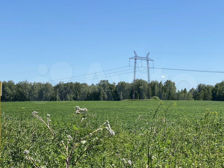 Участок 6,15 га (СНТ, ДНП)