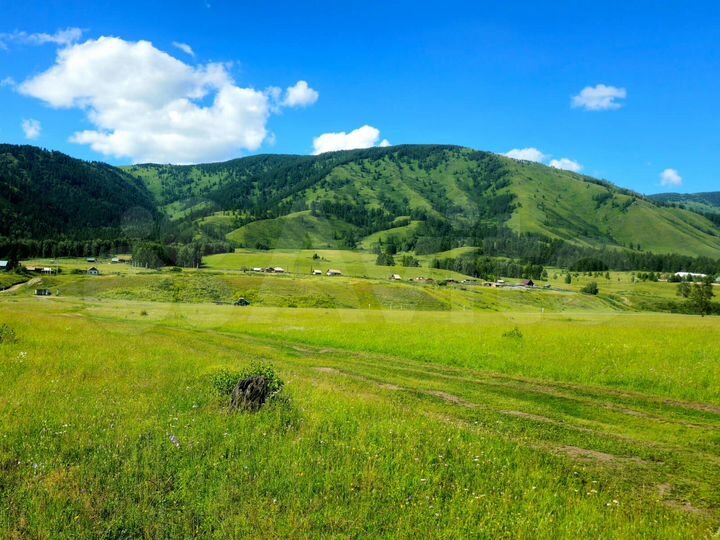 Участок 9 га (СНТ, ДНП)