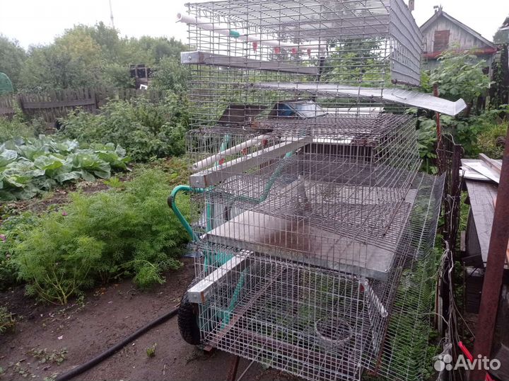 Клетки для перепелов