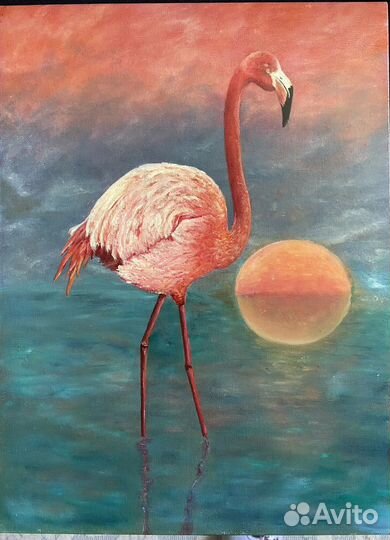 Фламинго