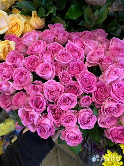 51 роза букеты