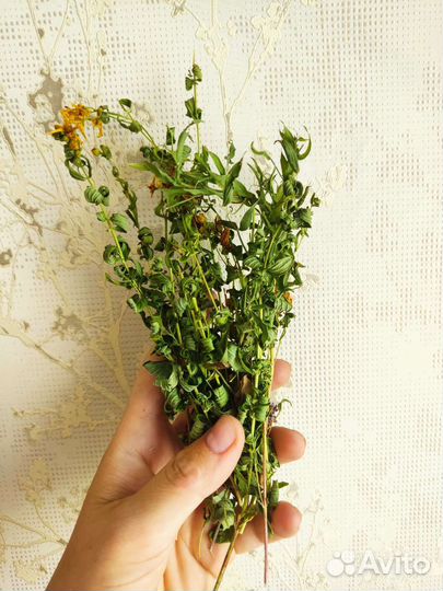 Зверобой душица малина трава сушенная
