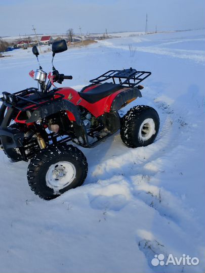 Квадрик 250куб