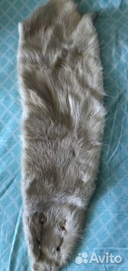 Шкура Нутрии