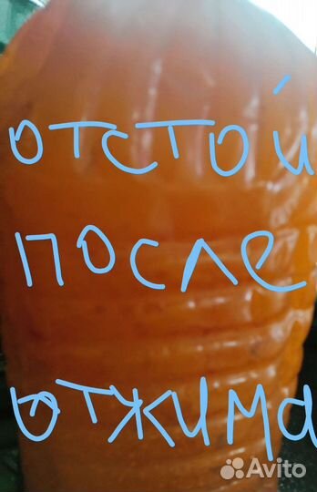 Облепиховое масло