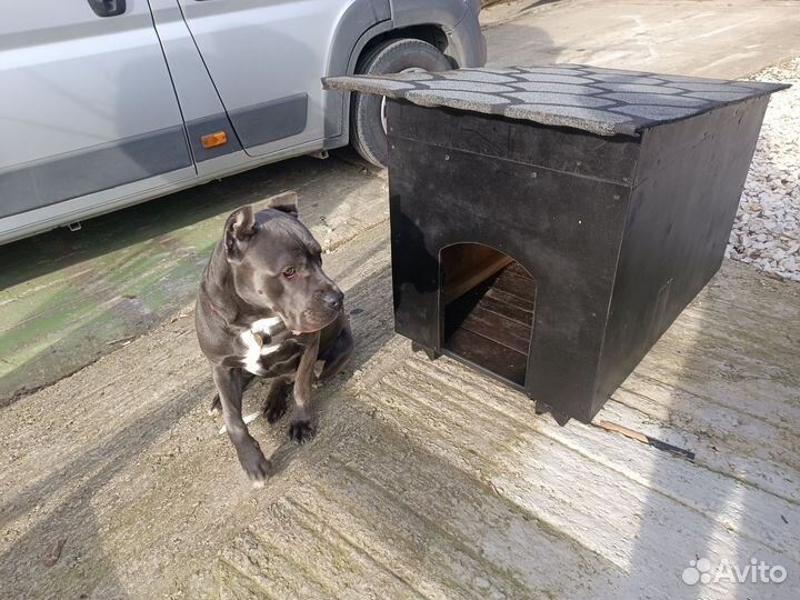 Будка для собаки