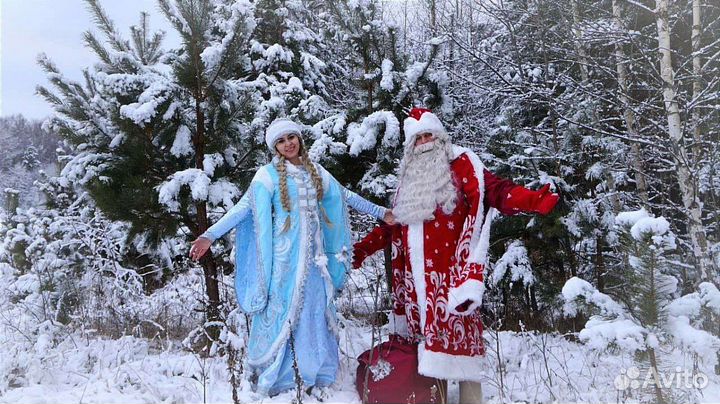 Дед мороз и снегурочка на дом