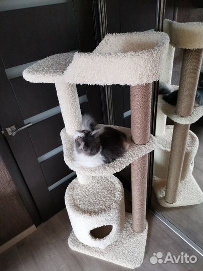 Домик с когтеточкой для кошек