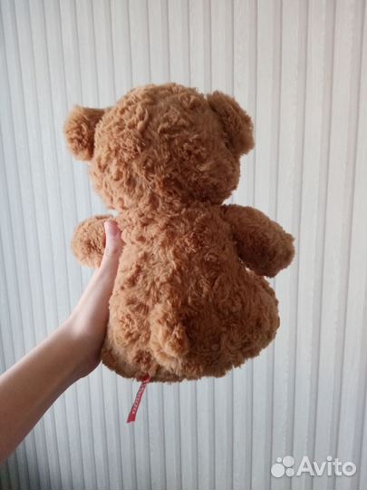 Мишка Тедди