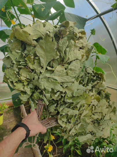 Дубовые веники для бани