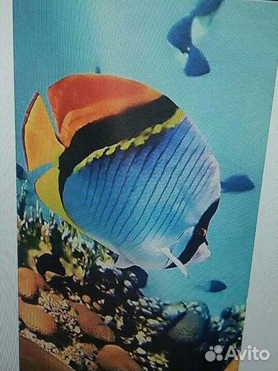 Рулонная штора 