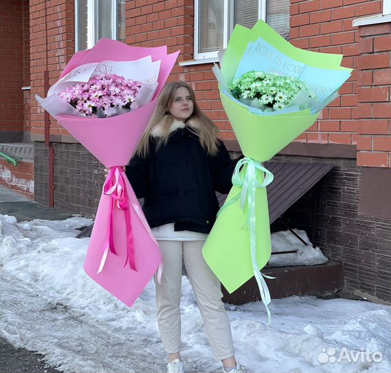 Хризантема ромашковая