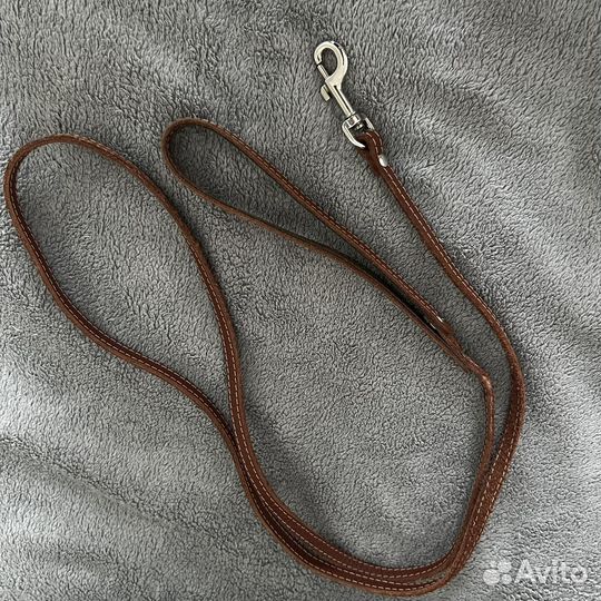 Одежда для маленьких пород собак