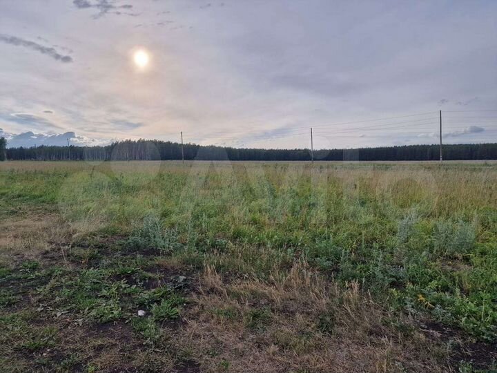 Участок 20 сот. (СНТ, ДНП)