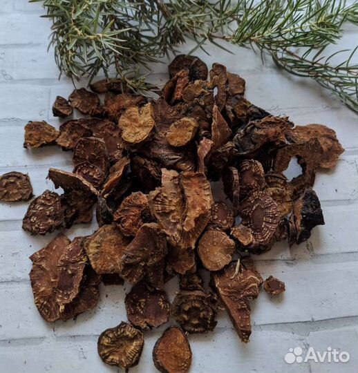 Корень калгана