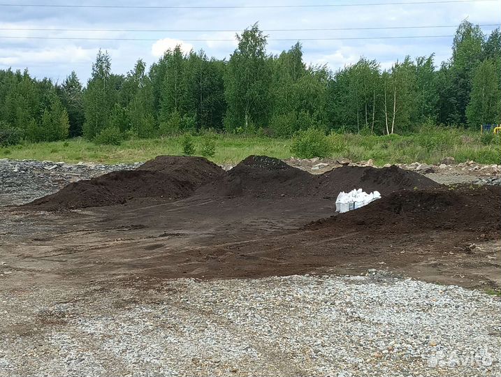 Чернозем