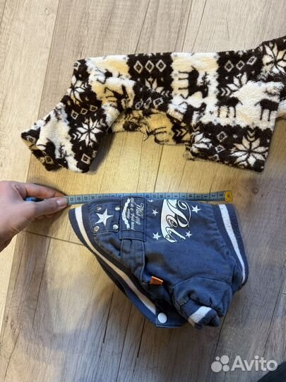 Одежда для собак