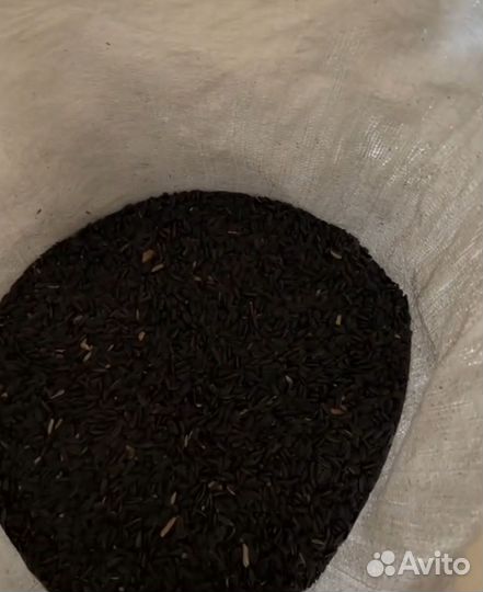 Семечки подсолнечника для с/х птиц