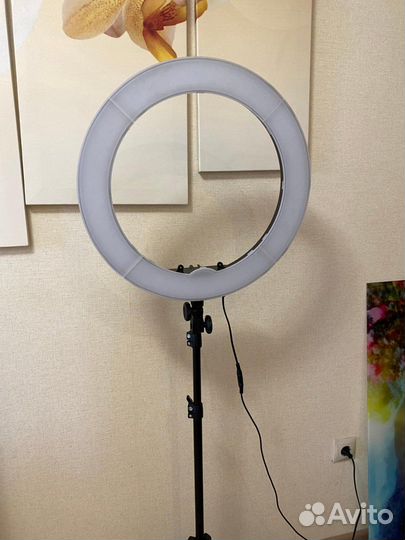 Профессиональная кольцевая лампа 50см