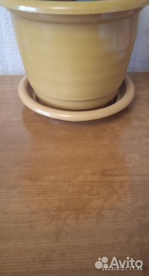 Горшки для цветов пластиковые 2шт за 500