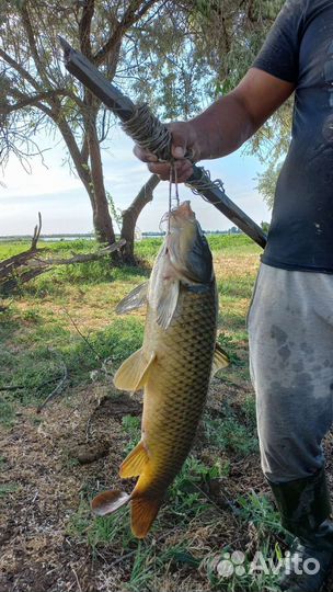 Кемпинг в Астрахани