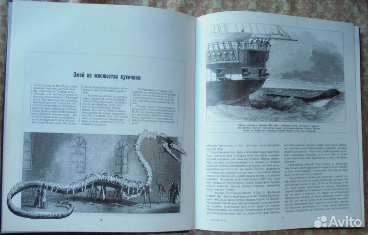 Загадочные Существа: Поиски 