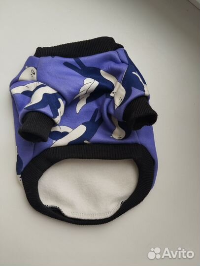 Жилетка и толстовка для собак