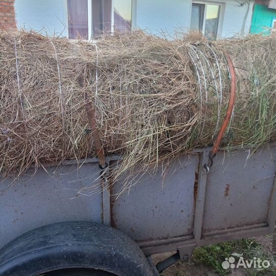 Продам сено в тюках